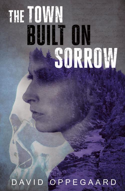 Cover of the book The Town Built on Sorrow by David Oppegaard, North Star Editions