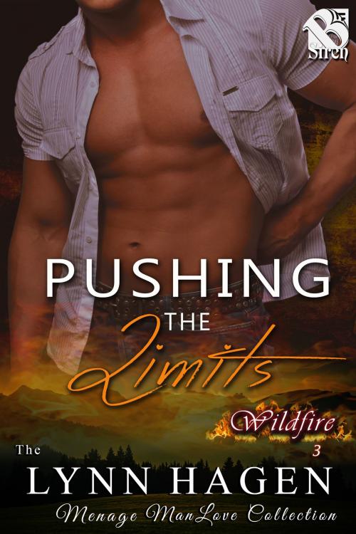 Cover of the book Pushing the Limits by Lynn Hagen, Siren-BookStrand