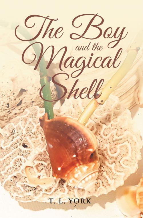Cover of the book The Boy and the Magical Shell by T. L. York, Page Publishing, Inc.