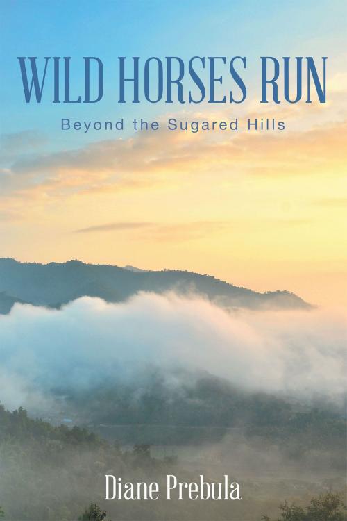 Cover of the book Wild Horses Run by Diane Prebula, Christian Faith Publishing