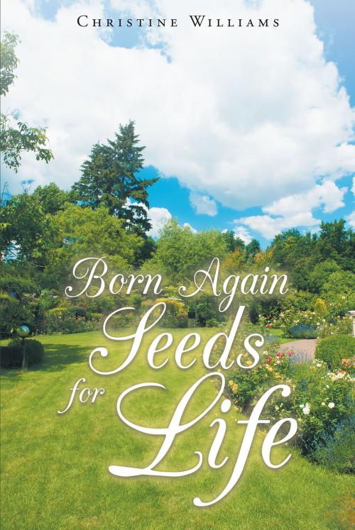 Cover of the book Born Again by Christine Williams, Christian Faith Publishing