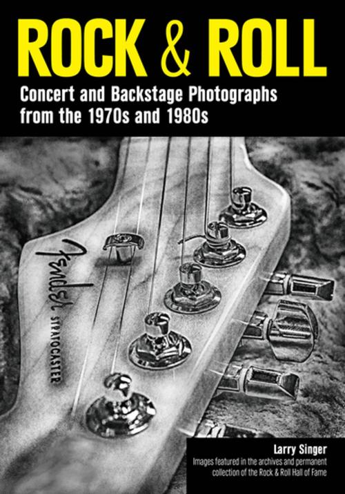Cover of the book Rock & Roll by Larry Singer, Amherst Media