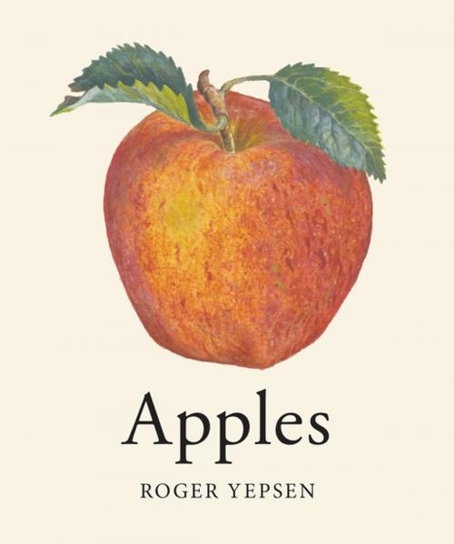 Cover of the book Apples (Revised and Updated) by Roger Yepsen, Countryman Press