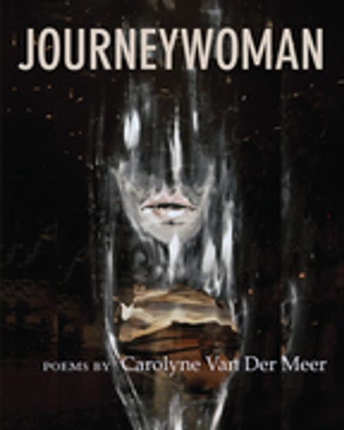 Cover of the book Journeywoman by Carolyne Van Der Meer, Inanna Publications