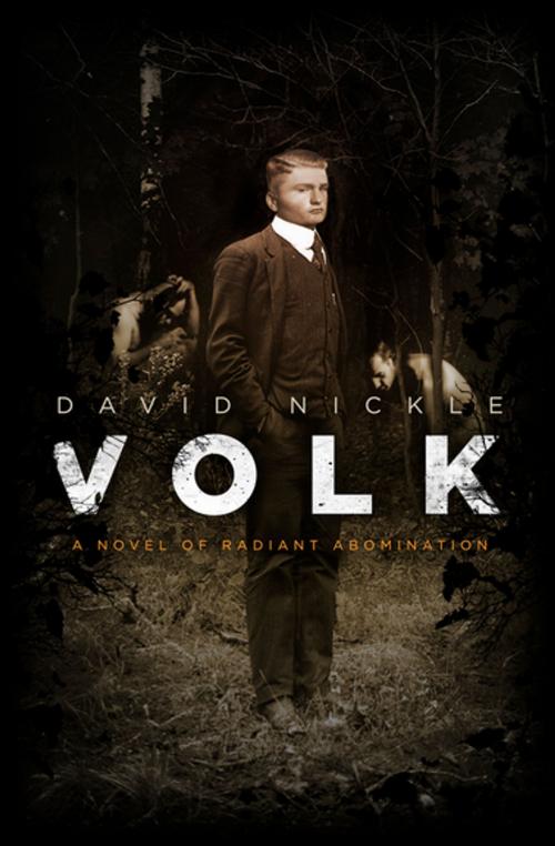 Cover of the book Volk by David Nickle, ChiZine Publications
