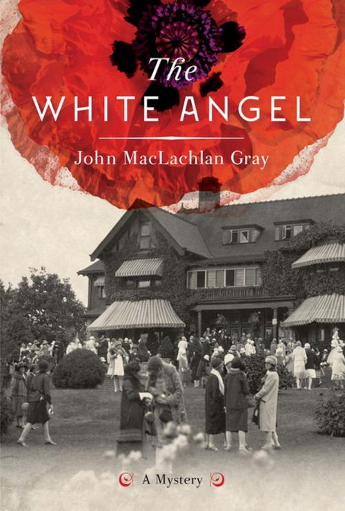 Cover of the book The White Angel by John MacLachlan Gray, Douglas and McIntyre (2013) Ltd.