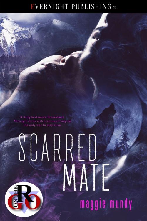 Cover of the book Scarred Mate by Maggie Mundy, Evernight Publishing