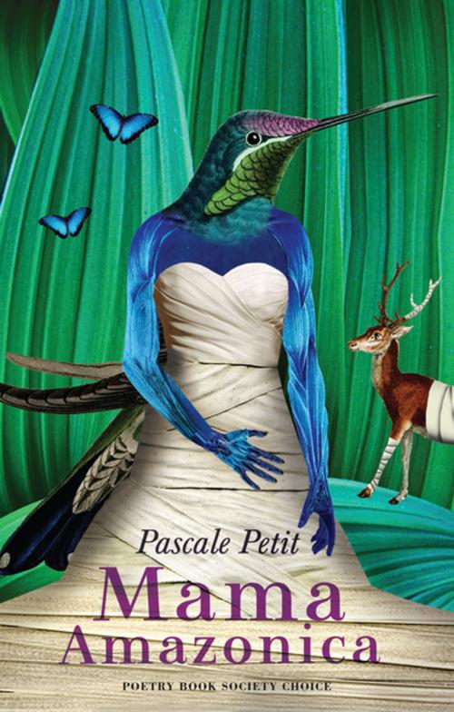 Cover of the book Mama Amazonica by Pascale Petit, Bloodaxe Books