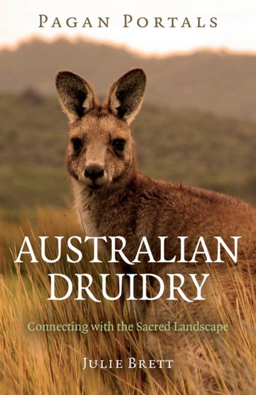 Cover of the book Pagan Portals - Australian Druidry by Julie Brett, John Hunt Publishing