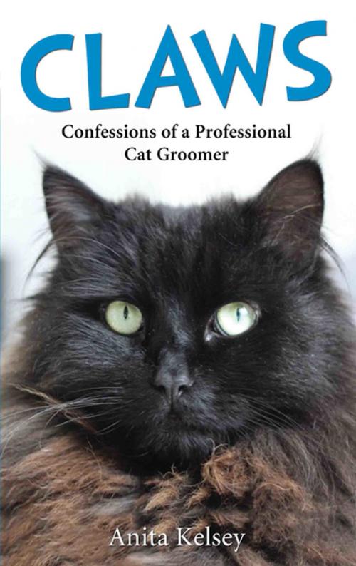 Cover of the book Claws - Confessions of a Professional Cat Groomer by Anita Kelsey, John Blake Publishing