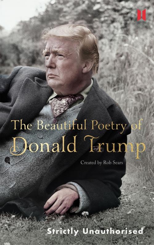 Cover of the book The Beautiful Poetry of Donald Trump by Robert Sears, Canongate Books