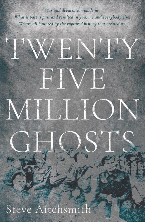 Cover of the book Twenty Five Million Ghosts by Steve Aitchsmith, Troubador Publishing Ltd
