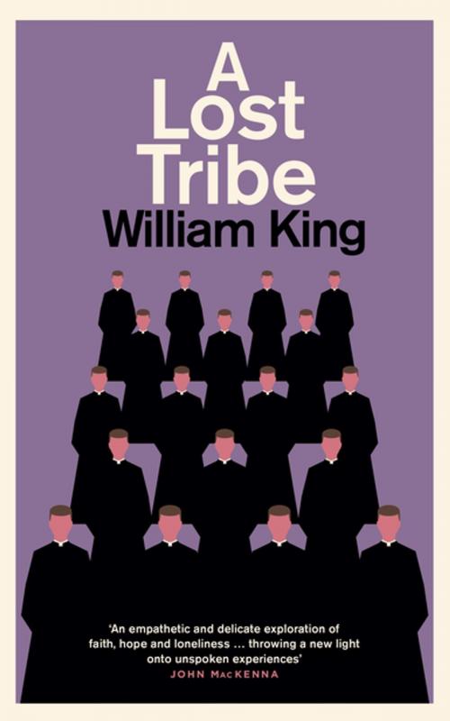 Cover of the book A Lost Tribe by William King, The Lilliput Press