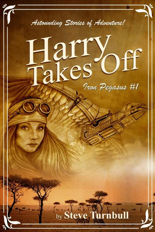 Cover of the book Harry Takes Off by Steve Turnbull, Tau Press Ltd