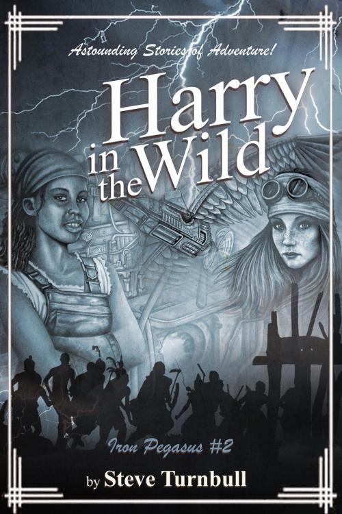 Cover of the book Harry in the Wild by Steve Turnbull, Steve Turnbull