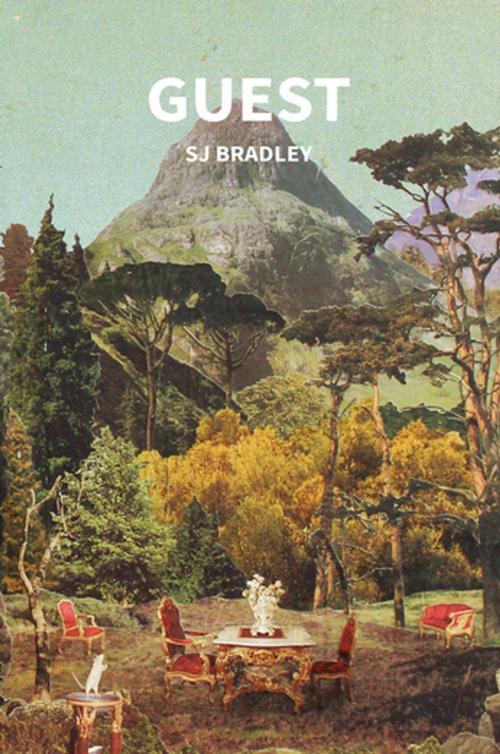 Cover of the book Guest by SJ Bradley, Dead Ink