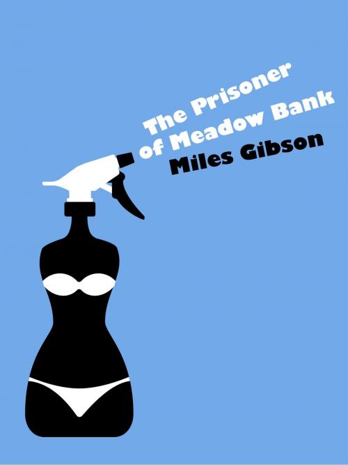 Cover of the book The Prisoner of Meadow Bank by Miles Gibson, Canelo