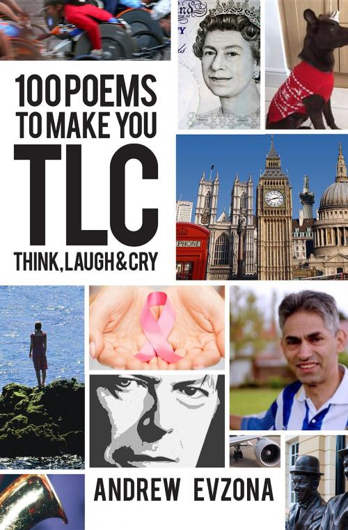 Cover of the book 100 Poems to Make You TLC - Think, Laugh & Cry by Andrew Evzona, Spiderwize