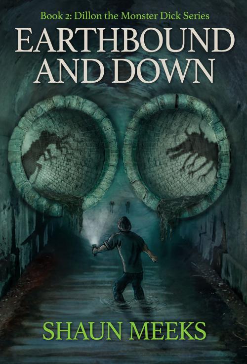 Cover of the book Earthbound and Down by Shaun Meeks, IFWG Publishing International