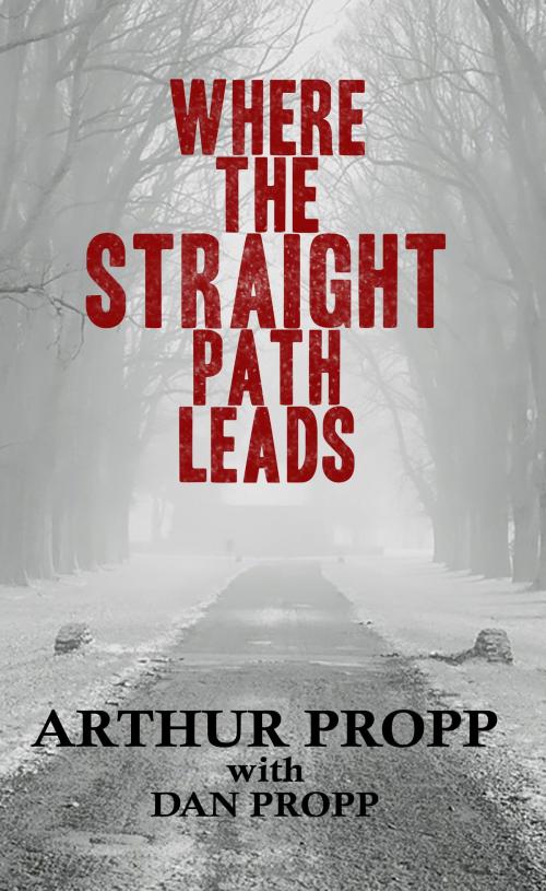 Cover of the book Where the Straight Path Leads by Dan Propp, Dan Propp