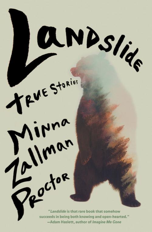 Cover of the book Landslide by Minna Zallman Proctor, Counterpoint Press