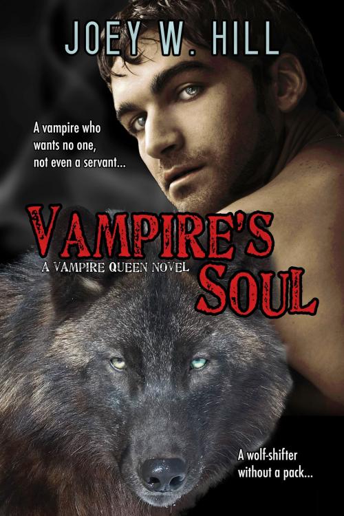 Cover of the book Vampire's Soul by Joey W. Hill, Storywitch Press