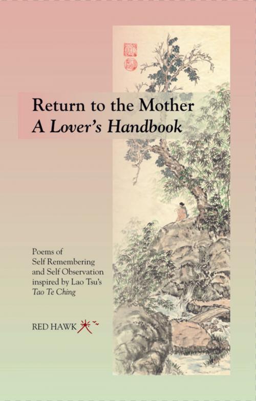 Cover of the book RETURN TO THE MOTHER ~ A Lover’s Handbook by Red Hawk, Hohm Press