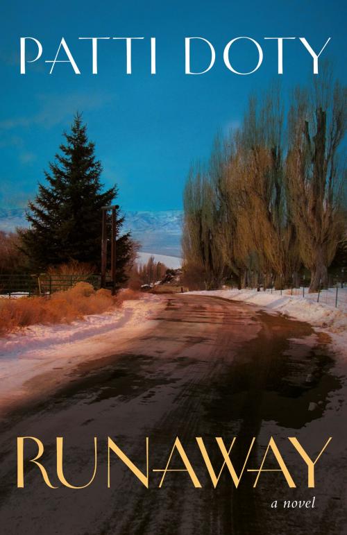 Cover of the book Runaway by Patti Doty, Patti Doty