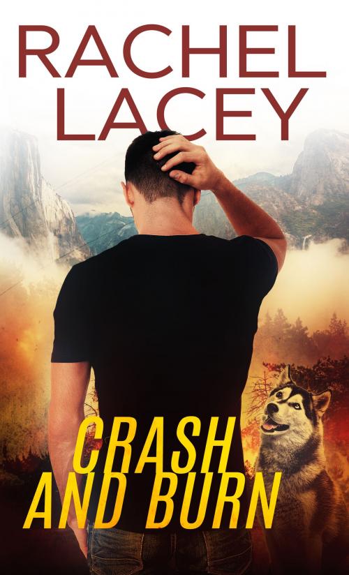 Cover of the book Crash and Burn by Rachel Lacey, NYLA