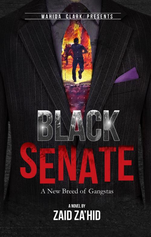 Cover of the book Black Senate by Zaid Za'hid, W. Clark Distribution & Media Corporation