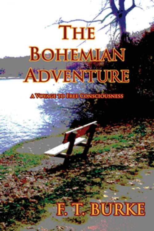 Cover of the book The Bohemian Adventure by F. T. Burke, Nightengale Media LLC