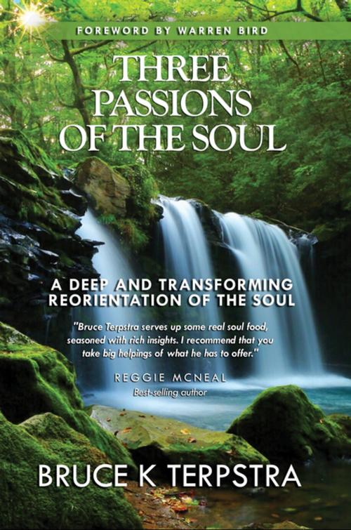 Cover of the book Three Passions of the Soul by Bruce K Terpstra, Clovercroft Publishing