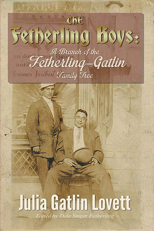 Cover of the book The Fertherling Boys by Julia Lovett, BookVenture Publishing LLC
