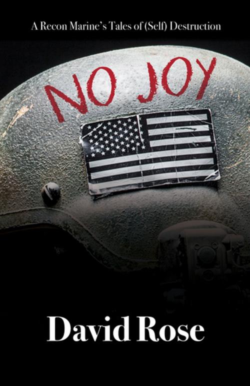 Cover of the book No Joy by David Rose, Rare Bird Books