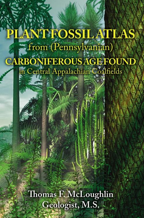 Cover of the book PLANT FOSSIL ATLAS from (Pennsylvanian) CARBONIFEROUS AGE FOUND in Central Appalachian Coalfields by Thomas  F McLoughlin, Toplink Publishing, LLC