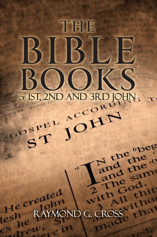 Cover of the book The Bible Books of 1st, 2nd And 3rd John by Raymond  G Cross, Toplink Publishing, LLC