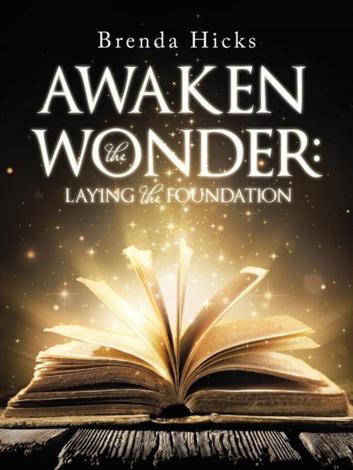 Cover of the book Awaken the Wonder by Brenda Hicks, WestBow Press