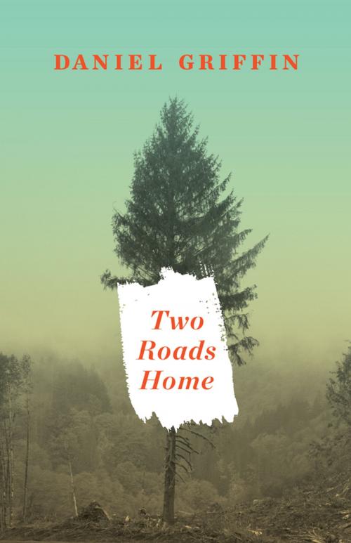 Cover of the book Two Roads Home by Daniel Griffin, Freehand