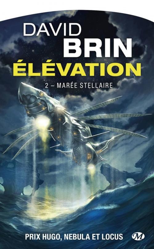 Cover of the book Marée stellaire by David Brin, Bragelonne