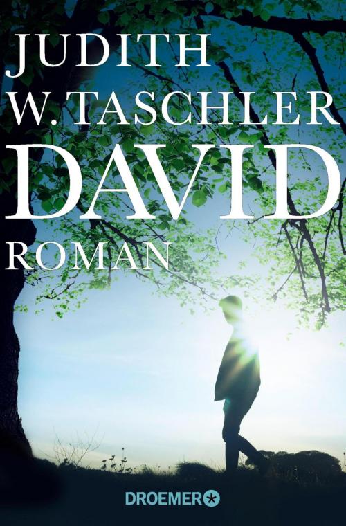 Cover of the book David by Judith W. Taschler, Droemer eBook