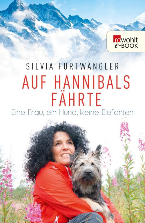 Cover of the book Auf Hannibals Fährte by Silvia Furtwängler, Regina Carstensen, Rowohlt E-Book