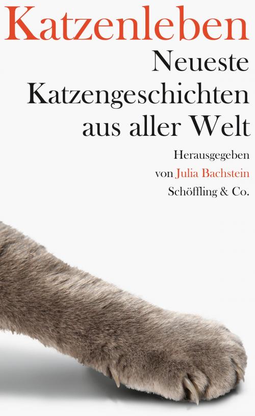 Cover of the book Katzenleben by , Schöffling & Co.