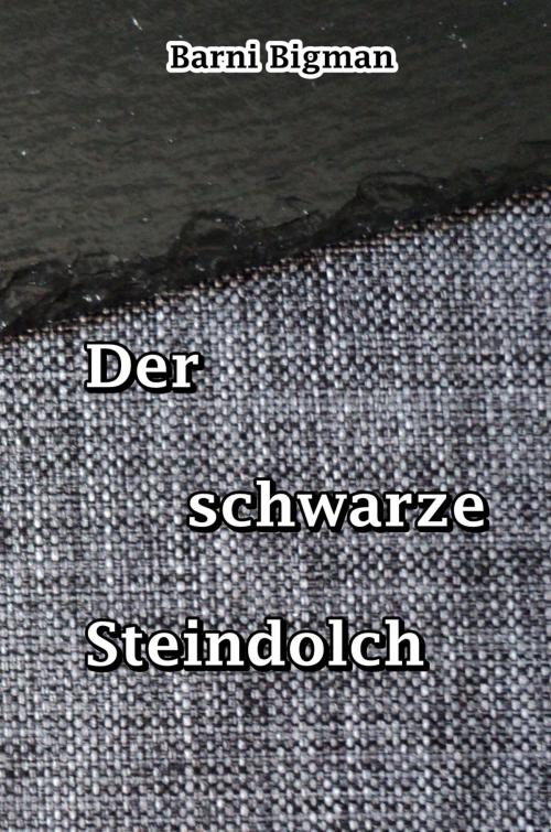 Cover of the book Der schwarze Steindolch by Barni Bigman, neobooks