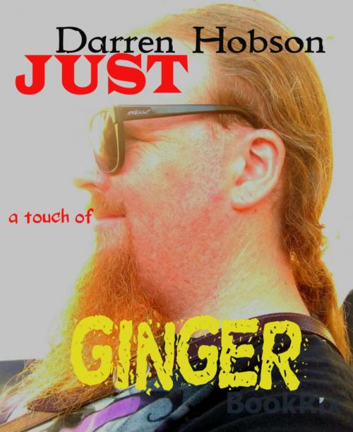 Cover of the book Just a Touch of Ginger. by Darren Hobson, BookRix