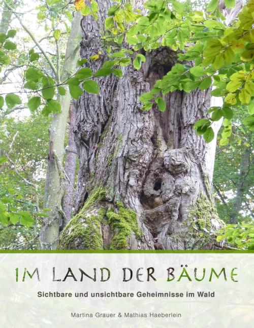 Cover of the book Im Land der Bäume by Martina Grauer, Mathias Haeberlein, Books on Demand