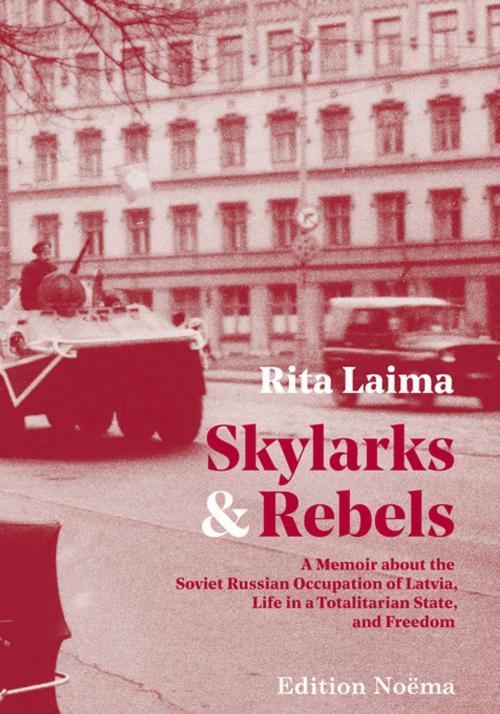 Cover of the book Skylarks and Rebels by Rita Laima, Ibidem Press