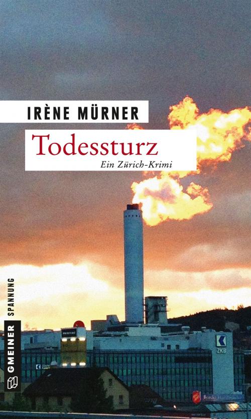 Cover of the book Todessturz by Irène Mürner, GMEINER
