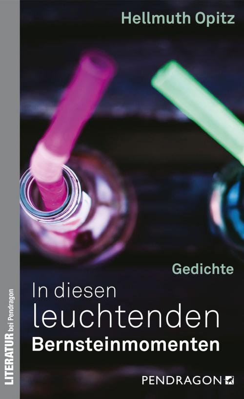 Cover of the book In diesen leuchtenden Bernsteinmomenten by Hellmuth Opitz, Pendragon