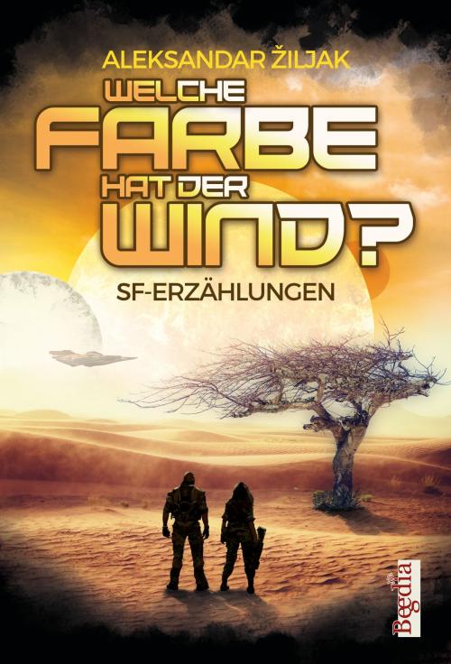 Cover of the book Welche Farbe hat der Wind by Aleksandar Žiljak, Christian Günther, Begedia Verlag