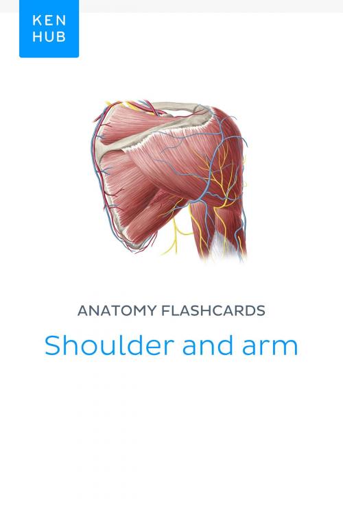 Cover of the book Anatomy flashcards: Shoulder and arm by Kenhub, Kenhub